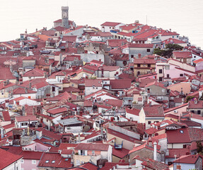 Wall Mural - Piran, Slovenia: aerial view over the red rooftops of the city 
