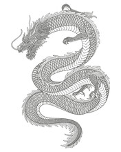Chinese Dragon. Vintage Engraving Drawing Style Vector Illustration