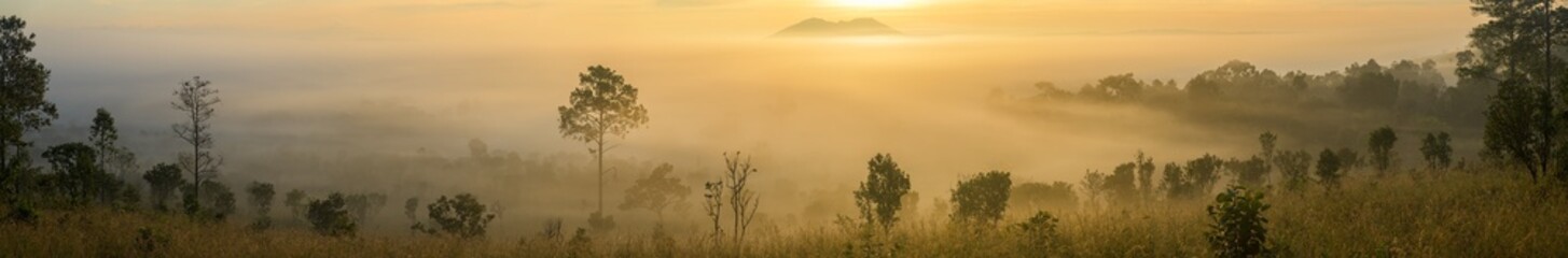 Wall Mural - panoramic of foggy at morning, mountains top view of sunrise landscape in the rainforest, thailand.