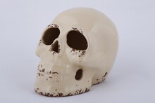 Porcelain Skull Display With Washed Out Design