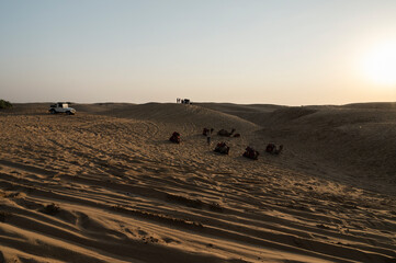 Wall Mural - Car tyre marks on sand dunes of Thar desert, Rajasthan, India. Tourists arrive on cars to watch sun rise at desert , a very popular activity amongst travellers.