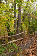 Poster - autumn in the park