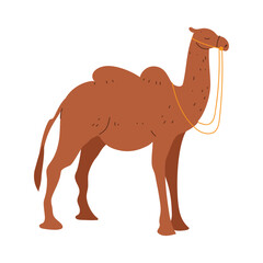 Wall Mural - camel animal icon