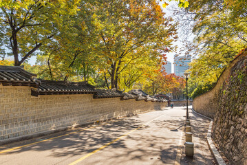 Wall Mural - 서울 덕수궁 돌담길의 가을풍경