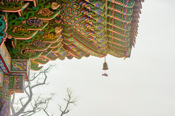 Wall Mural - 경기도 양평군 용문사 처마끝 풍종과 은행나무