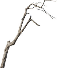 Aufkleber - Isolated PNG cutout of a dead tree on a transparent background