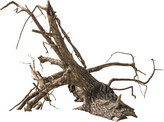 Aufkleber - Isolated PNG cutout of a dead tree on a transparent background