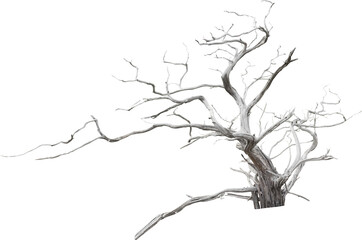 Aufkleber - Isolated PNG cutout of a dead tree on a transparent background