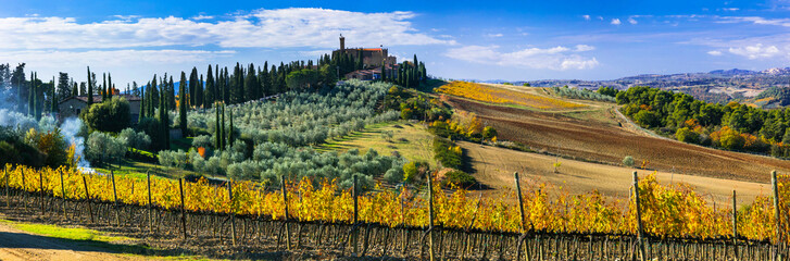 Poster - Golden vineyards of Tuscany. Castello di Banfi. panorama of with yellow autumn grapewine fields in wine region Toscana. Italy