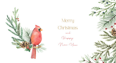 Wall Mural - watercolor vector christmas card with cardinal bird, fir branches and place for text.