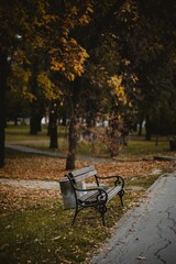 Canvas Print - Vertical shot an old wooden bench in a park in autumn surrounded by colorful dried leaves