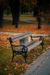 Canvas Print - Vertical shot an old wooden bench in a park in autumn surrounded by colorful dried leaves