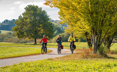 Wall Mural - three happy senior adults, riding their mountain bikes in the autumnal atmosphere of the fall forests around city of Stuttgart, Baden Wuerttemberg, Germany
