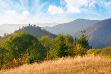 Wall Mural - trees and meadows on the hills. mountain landscape on the warm afternoon in autumn. clouds on the blue sky