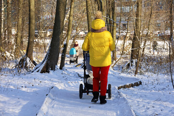 Wall Mural - Women walking with baby prams in winter park. Mothers in city, leisure at snow weather