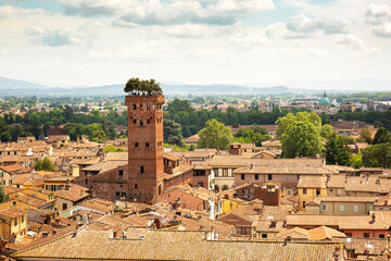 Wall Mural - Tree on tower (Torre Guinigi) in the city Lucca, Tuscany, Italy