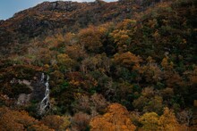Beautiful View Of The Hillside With Colorful Autumn Vegetation And A Waterfall.