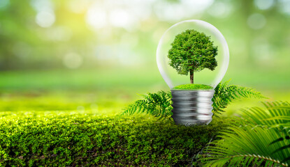 Wall Mural - the bulb is located on the inside with leaves forest and the trees are in the light. concepts of env