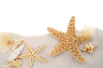 Wall Mural - beach border summer background with sand, starfish and seashells isolated on transparency photo png 