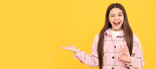 Poster - winking happy teen girl wear pink checkered shirt presenting product, copy space, product proposal. Child face, horizontal poster, teenager girl isolated portrait, banner with copy space.