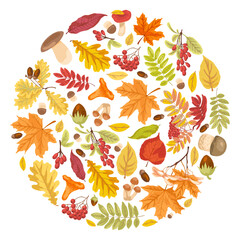 Wall Mural - Autumn leaves and symbols in circle vector pattern. Cartoon illustration of leaves, mushrooms and plants placed in circle isolated on white background. Fall, design concept.