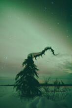 Eureka Free Stock Photo - Public Domain Pictures