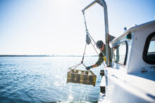 Pulling Pots For Conch Shellfishing On Narragansett Bay