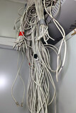 Fototapeta  - Wiązka kabli internetowych sieciowych dostarcza internet do domu. 