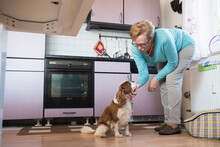 Old Woman Stroking Her Pet Dog In Kitchen