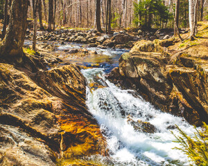 waterfall in autumn