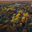 Aerial view of a small house in a colorful forest during autumn