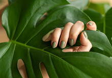 Woman's Hand With A Green Manicure Against The Background Of A Monstera Leaf