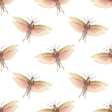 Vintage Watercolor Seamless Pattern With Flying Grasshopper, Locust Isolated On White Background.