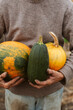 © Demetr White/Stocksy - Man holding three pumpkins in hands, on farm