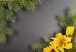 Christmas  pine branches and sunflowers,black rock background