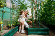 © AD Astra Team/Stocksy - Mom and daughter pick vegetables in the garden