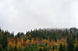 © Andriy Bezuglov/Stocksy - Foggy mountain hills covered with colorful autumn trees