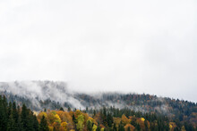 Foggy Mountain Hills Covered With Colorful Autumn Trees