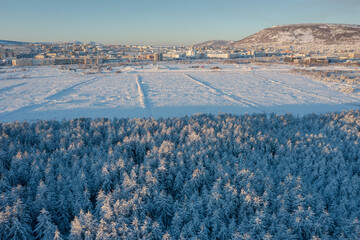 Wall Mural - Winter aerial view of the northern city and its surroundings. The nature of Siberia and the Russian Far East. Beautiful snowy forest. Cold winter weather. Magadan city, Magadan region, Russia.