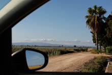 Delta Ebro Rice Fields View From A Car