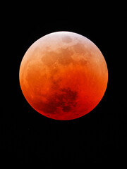 Wall Mural - lunar eclipse/blood moon from chrstchurch, new zealand, november 2022 (30s @ 900mm f/9).