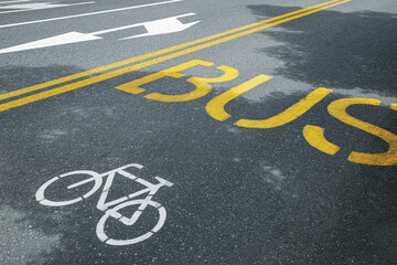 Wall Mural - Bicycle and bus lane signs painted on asphalt