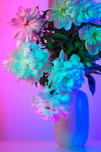 Pink Blue Green Neon Flowers In Vase