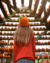 Child Looking At Fall Harvest Pumpkins