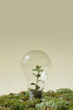 Light Bulb On Green Grass And Sunlight In Nature.