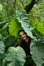 Man Hiding Among Giant Green Leaves