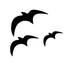  bird silhouette flying at sunset