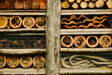 Detail Of A Bug Hotel