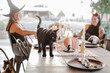 © Tana Teel/Stocksy - friends in costume relax with black cat at festive outdoor table