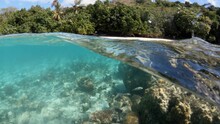 Vanuatu Coral Reef - Rising Sea Level And Global Warming Effects